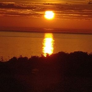 Meet your Posher, Bernard